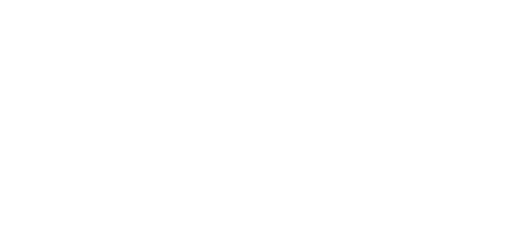 DocuPhase Logo, White