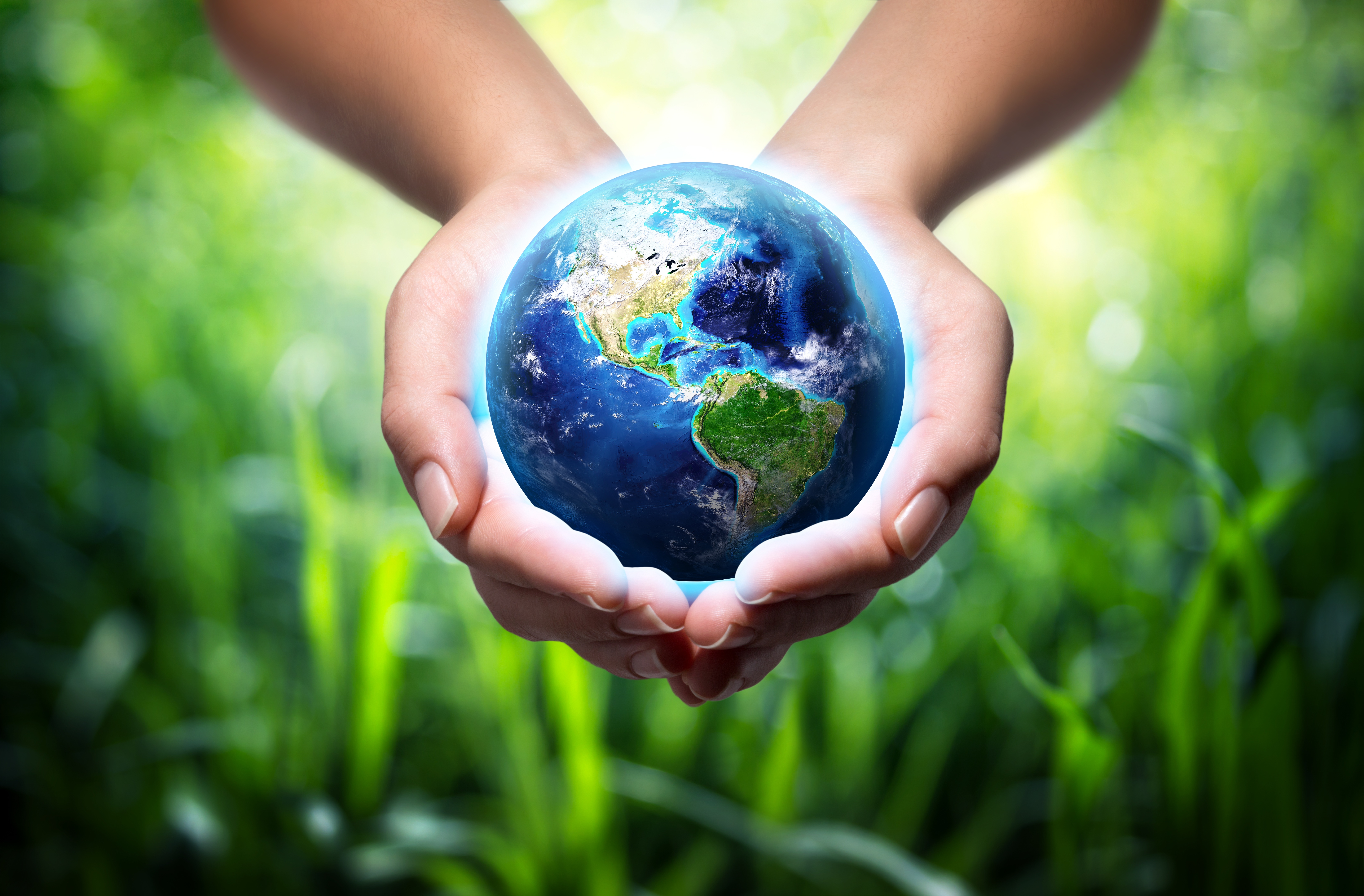 How Can Document Management Solutions Reduce Your Carbon Footprint?