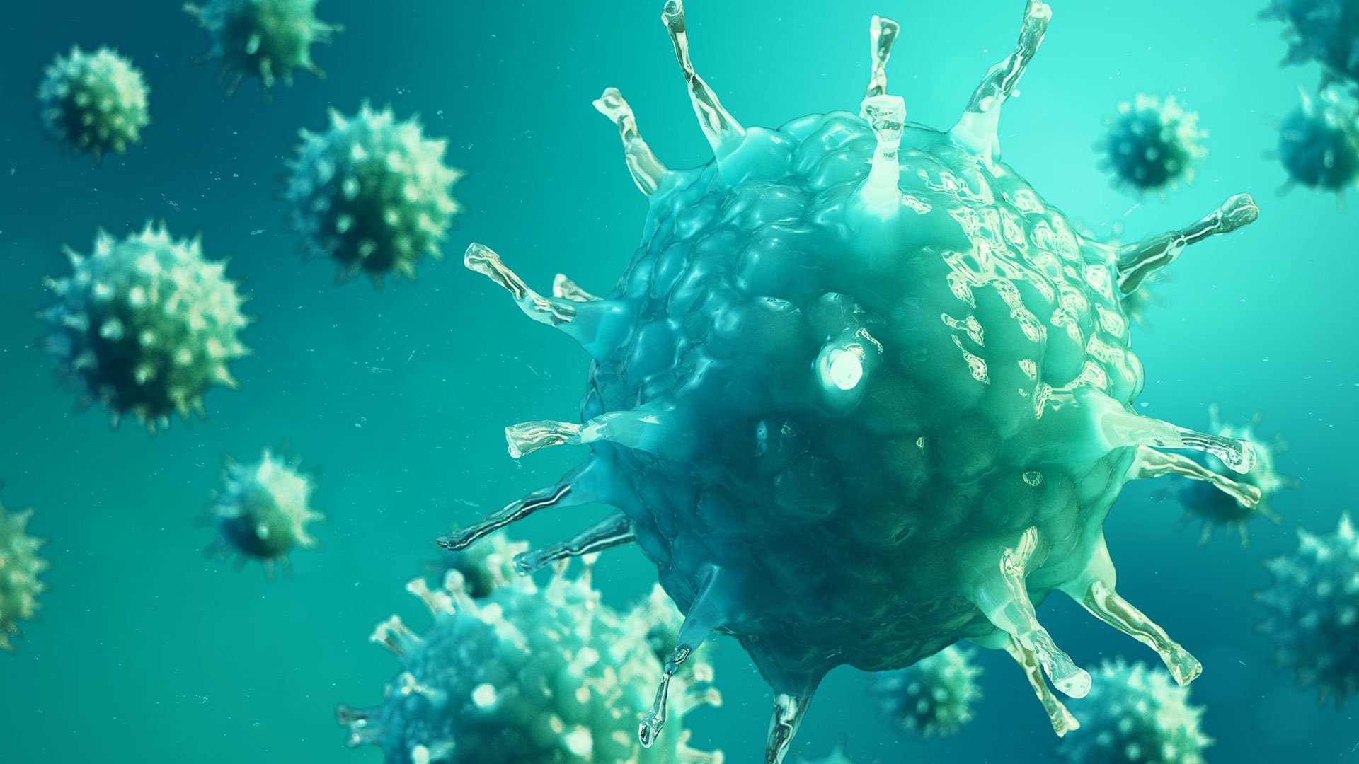 Coronavirus Fears: Will My Company be Affected?